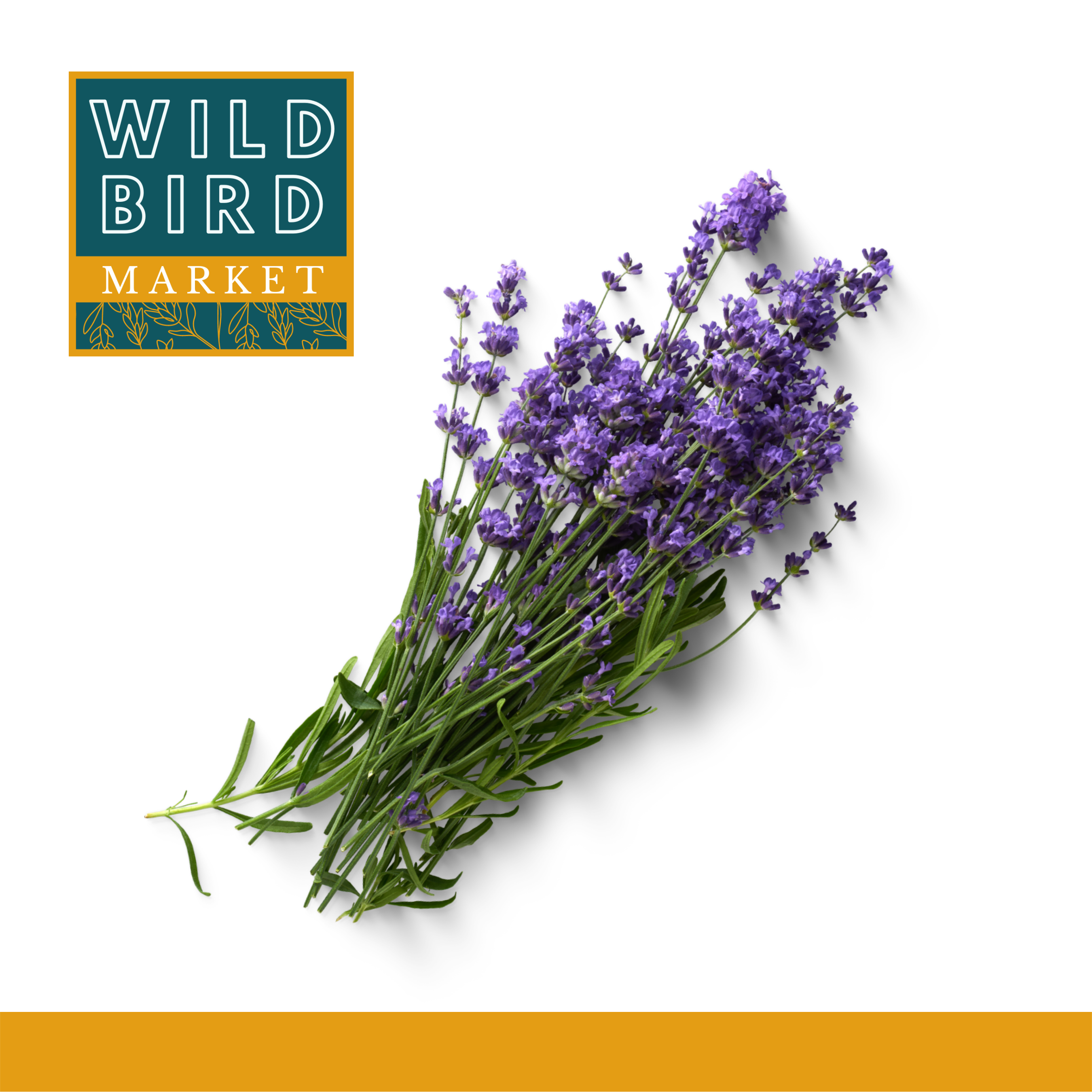 Dried Lavender Buds – Wild Bird Market