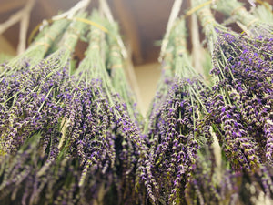 Dried Lavender Buds