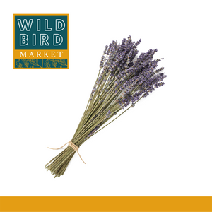 Bulk Dried Lavender Bundle